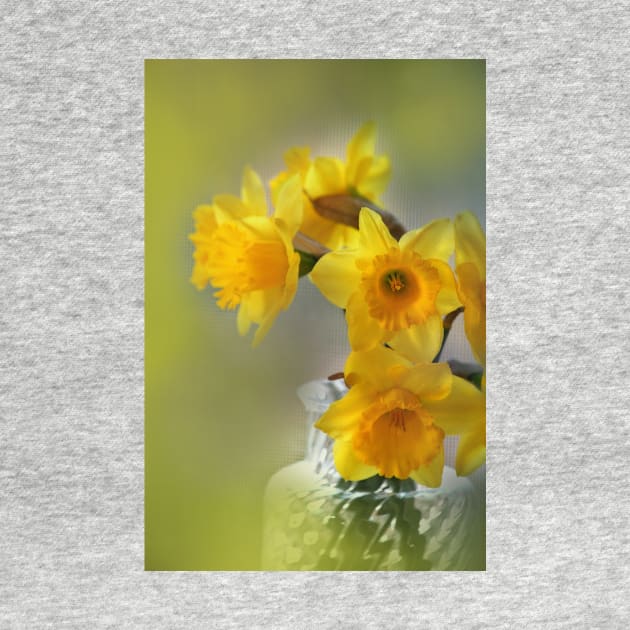 My First Daffodils by EileenMcVey